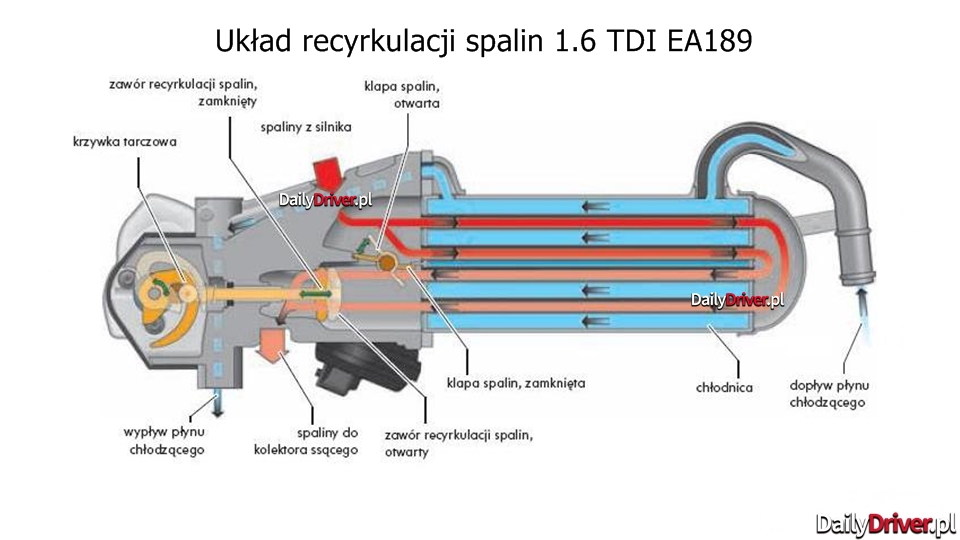 EGR układ recyrkulacji spalin 1.6 TDI