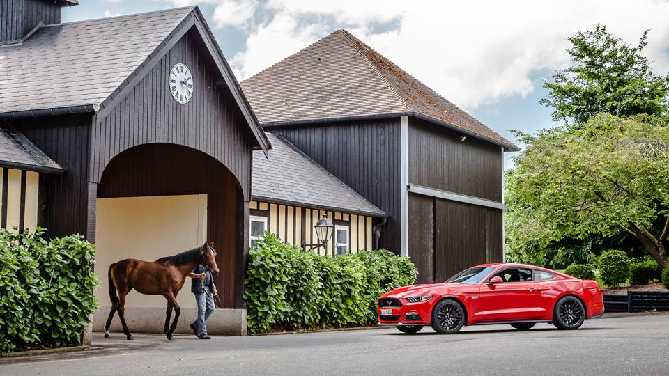 Ford Mustang GT 2015 koń