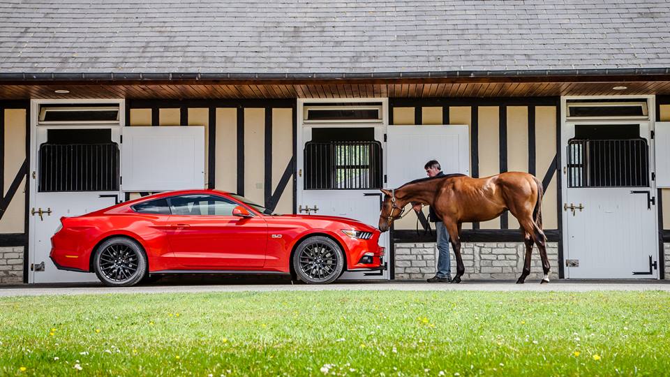 Ford Mustang GT 2015 koń